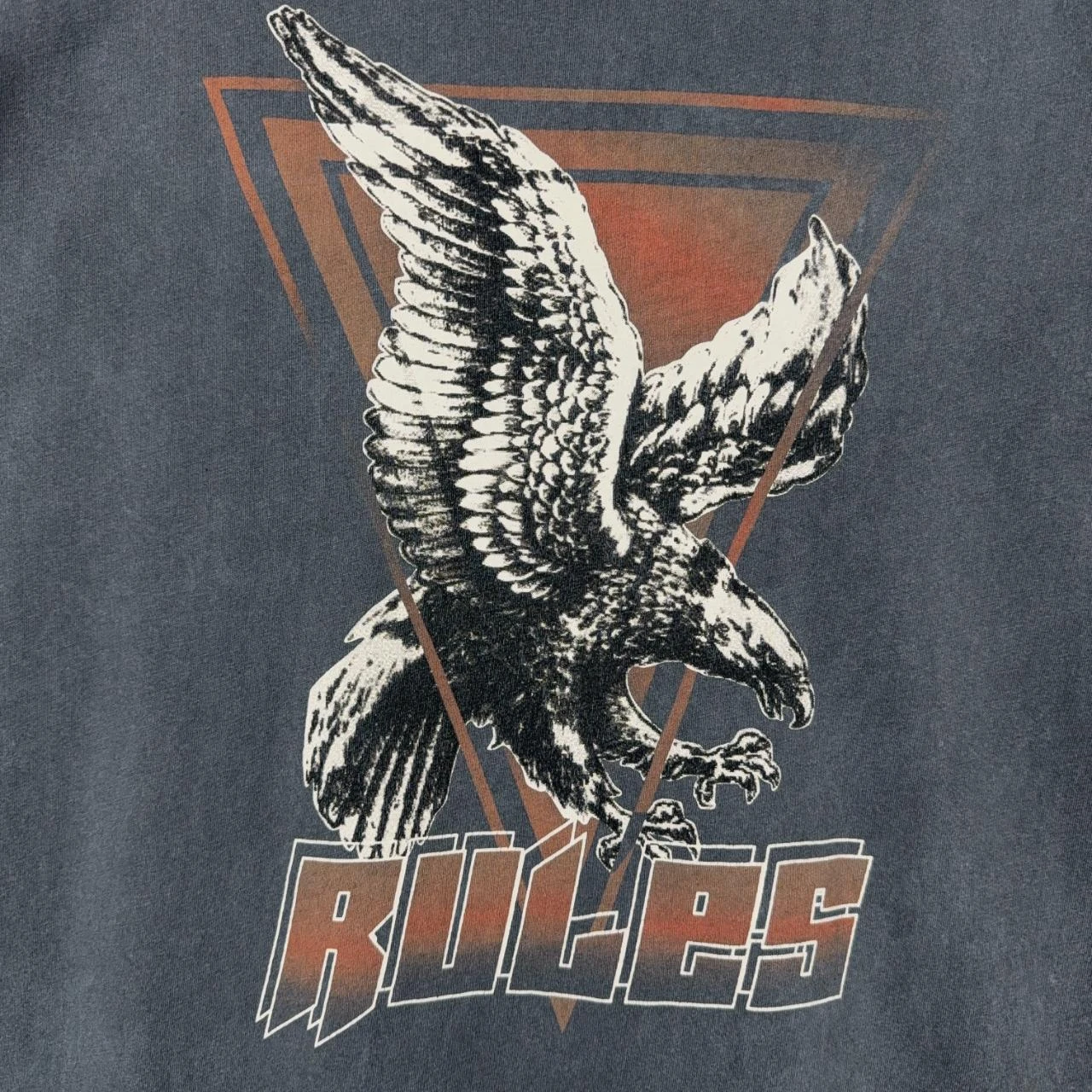 T-shirt graphique Eksept Rules Eagle Gris Charbon L – photo 3